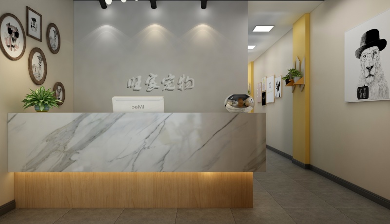 現代簡約寵物店前臺